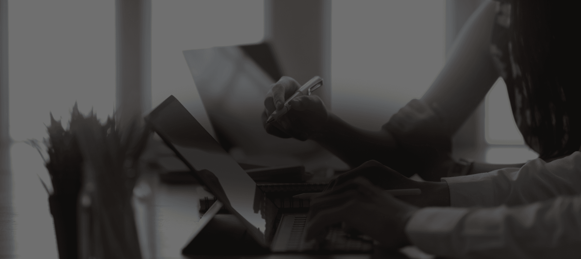 Banner 0